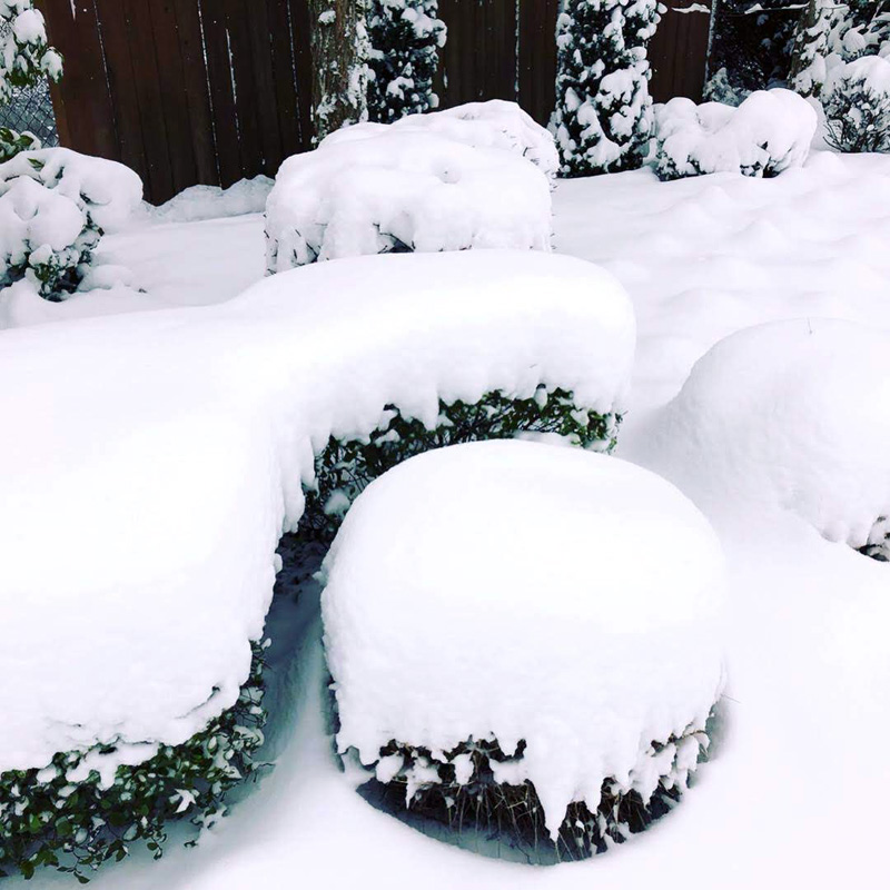 snow-day-02-04-2019-1