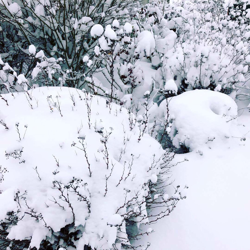 snow-day-02-04-2019-4