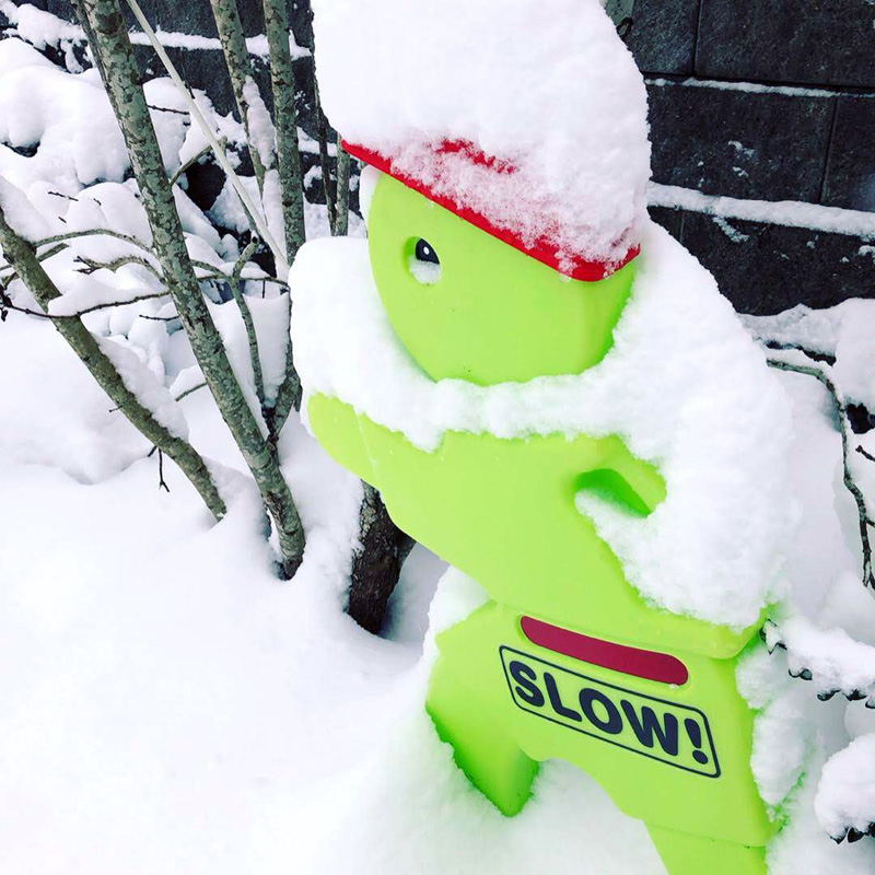 snow-day-02-04-2019-5