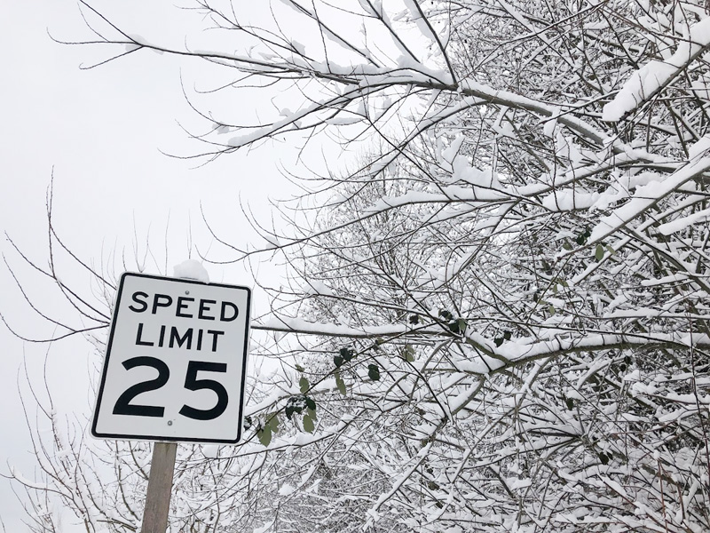 snow-day-02-8-2019-1