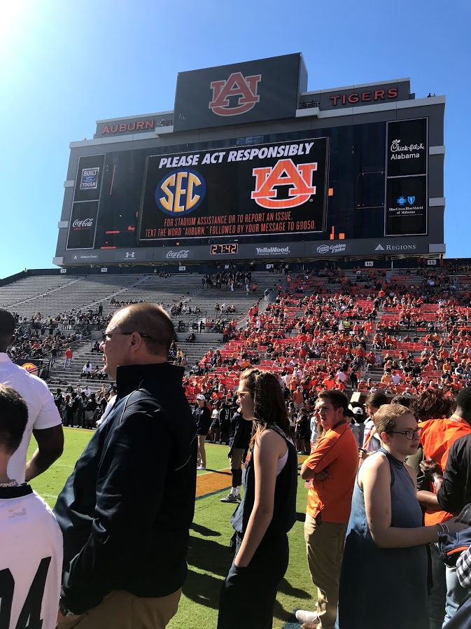 akiko-wilson-1 - junglecity.com