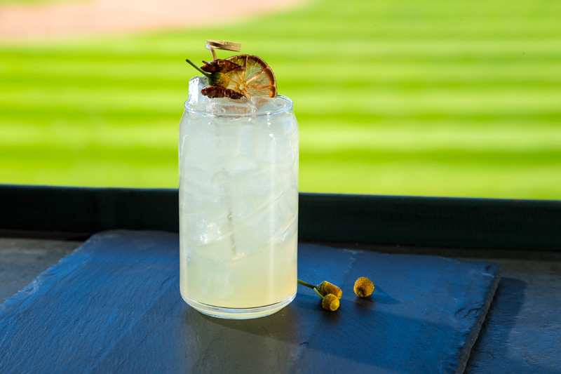 buzz-mezcal-margarita