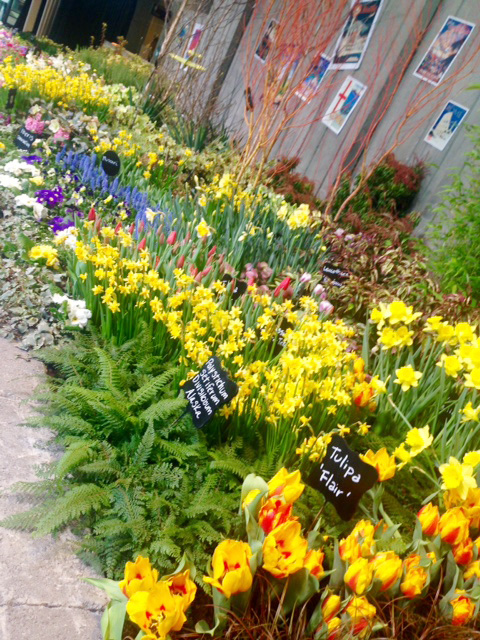 northwest-flower-garden-show-3