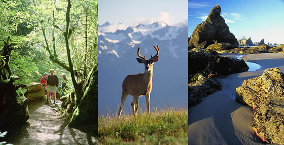 olympic-peninsula-560