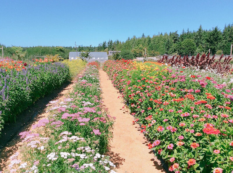 port-townsend-3
