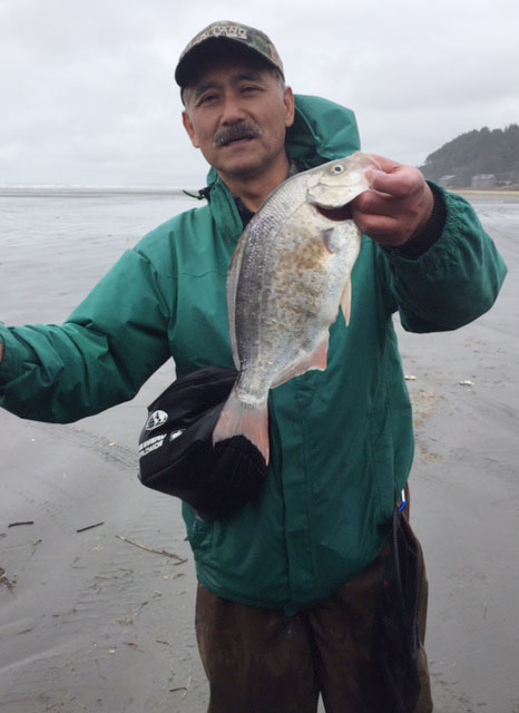 surf-perch-2