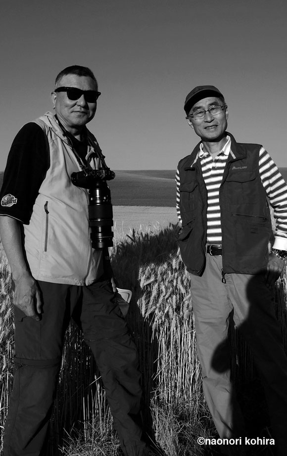 katayama-kohira-1