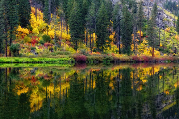 autumn-colors-1