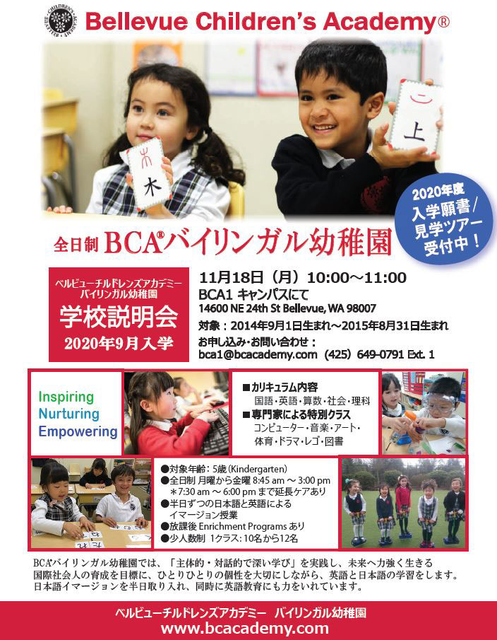 bca-11-2019-info