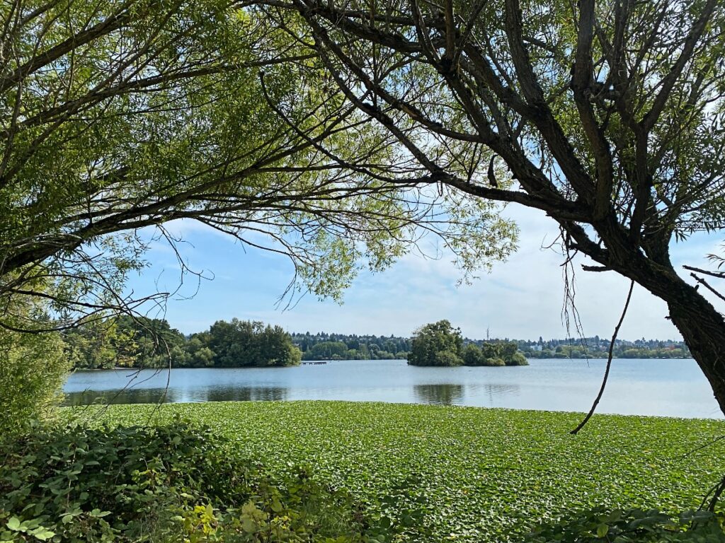 green-lake-27 - junglecity.com