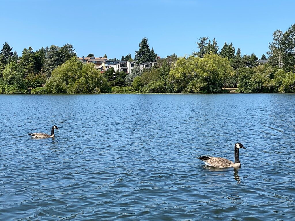 green-lake-28 - junglecity.com