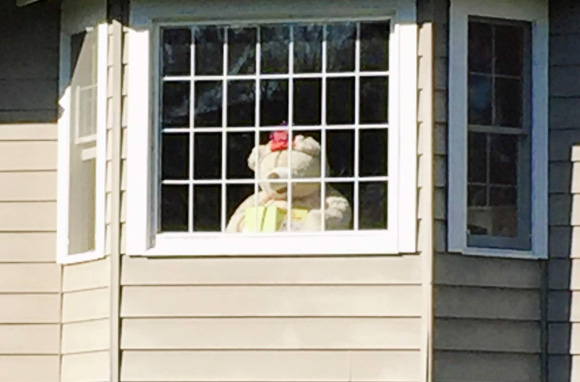 teddy-bear-hunt-4