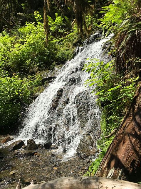 naoko-granite-falls-3