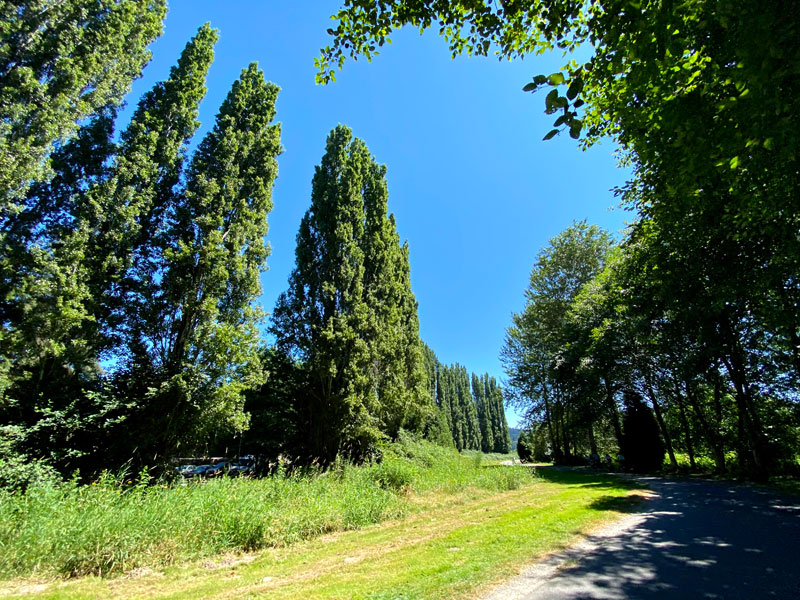 sammamish-river-trail-5