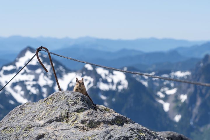 Skyline Trail