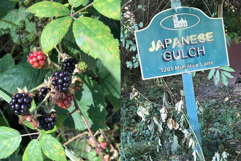 Japanese Gulch