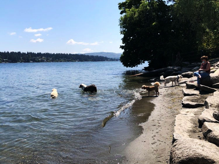 Luther Burbank dog park