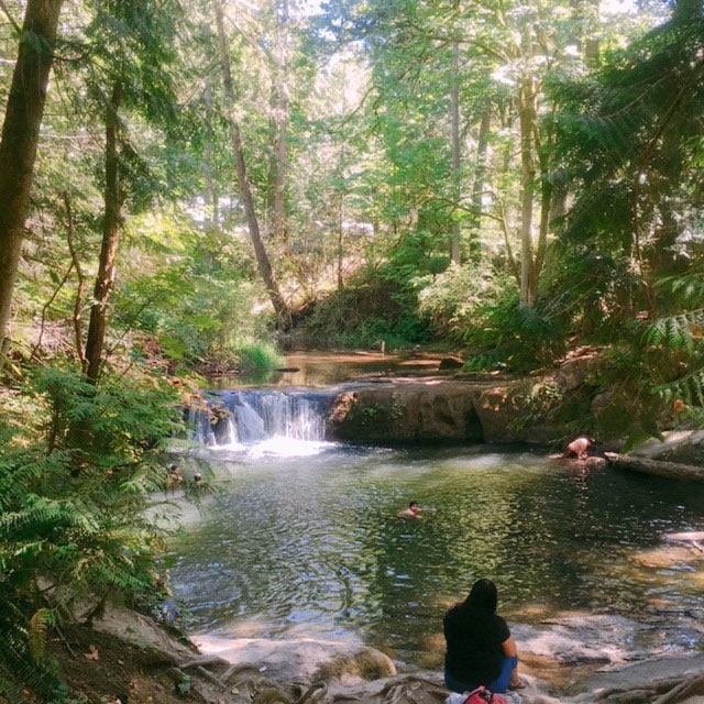Whatcom Falls Park