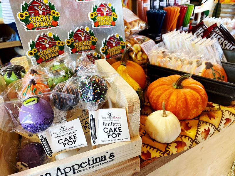 pumpkin-patch-10