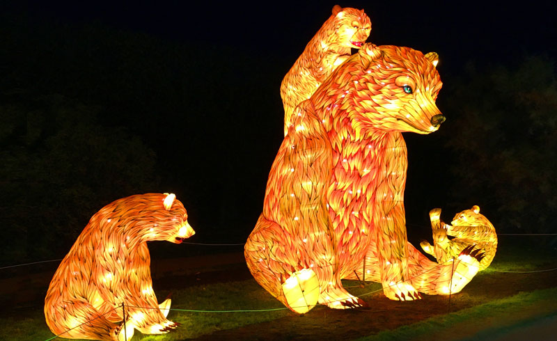 wildlanterns-bear