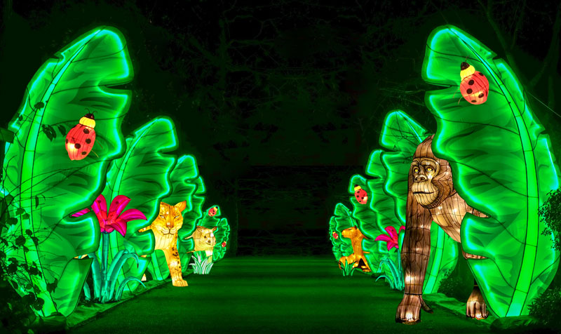 wildlanterns-jungle-corridor