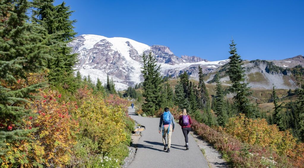 mount-rainier-70 - junglecity.com Two hikers with backpacks walk a paved mountain trail amid autumn foliage toward snow-capped peaks under a blue sky.