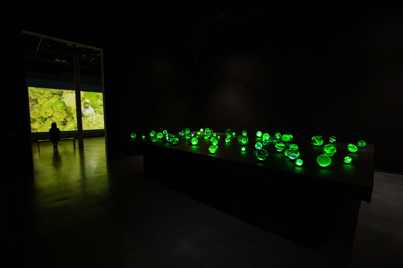 etsuko-ichikawa-fireflies-1