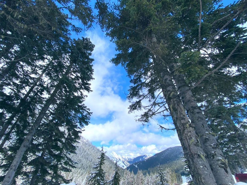 stevens-pass-6