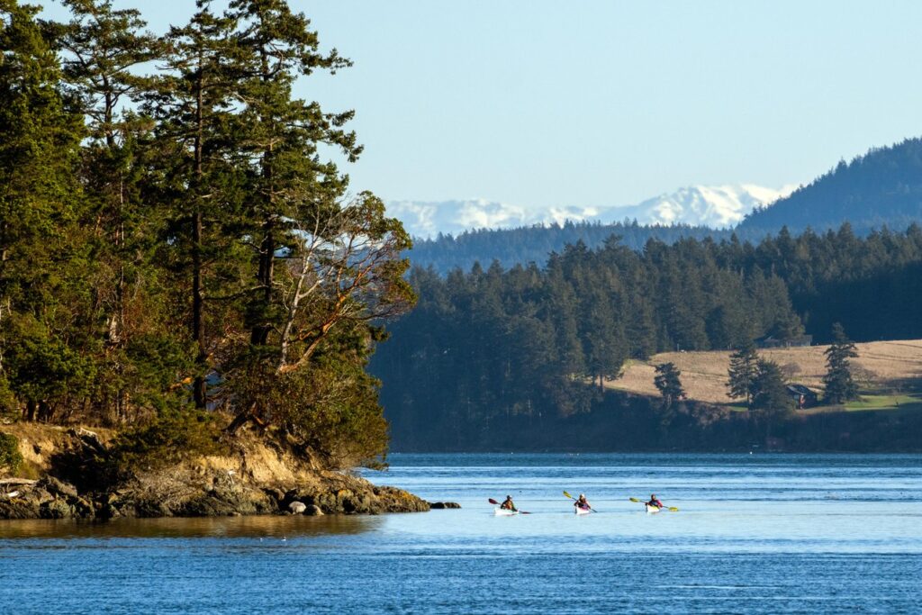 Three people in kayaks paddling on a calm lake beside a rocky, forested shoreline with distant snow-capped mountains.