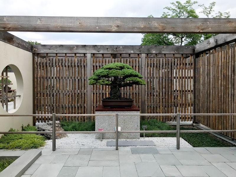 米国国立樹木園