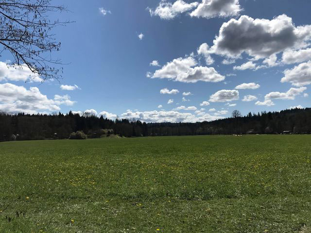 今日の写真は Naoko さんがご提供くださったシアトルの北、アーリントンにある River Meadows County Park のキャンプ場です