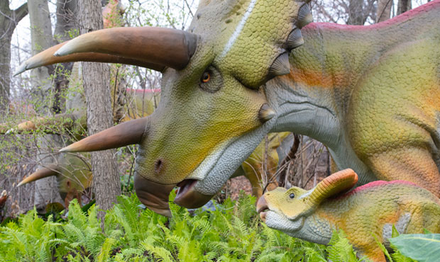 woodland-park-zoo-dino-620