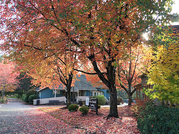 bothell-landing-1