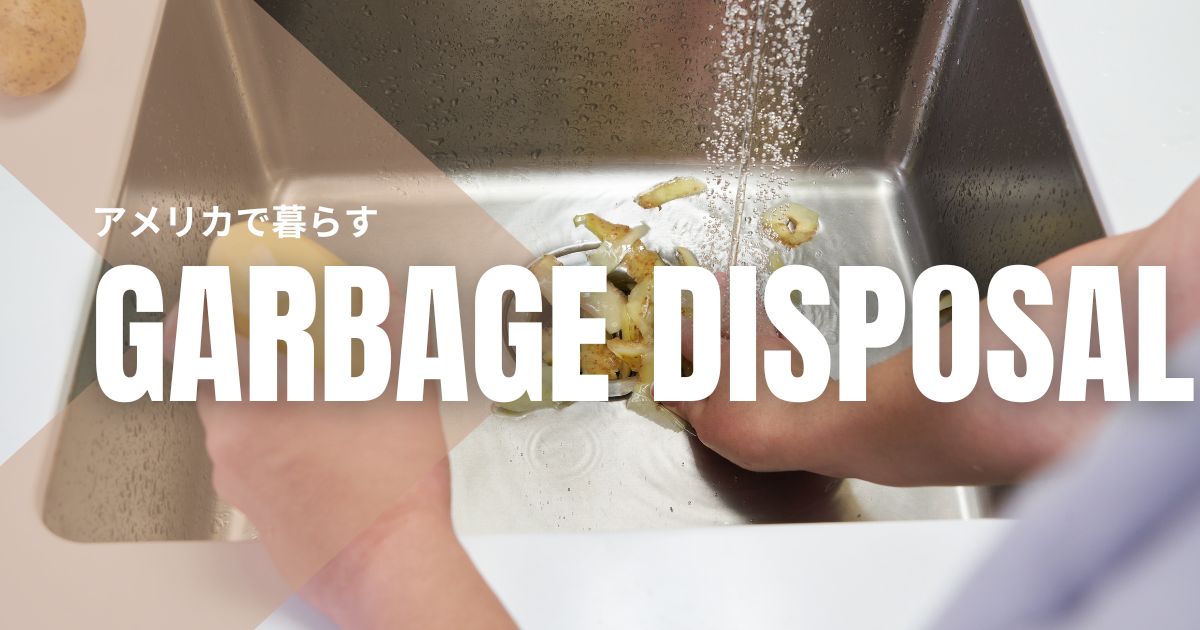 disposal-4