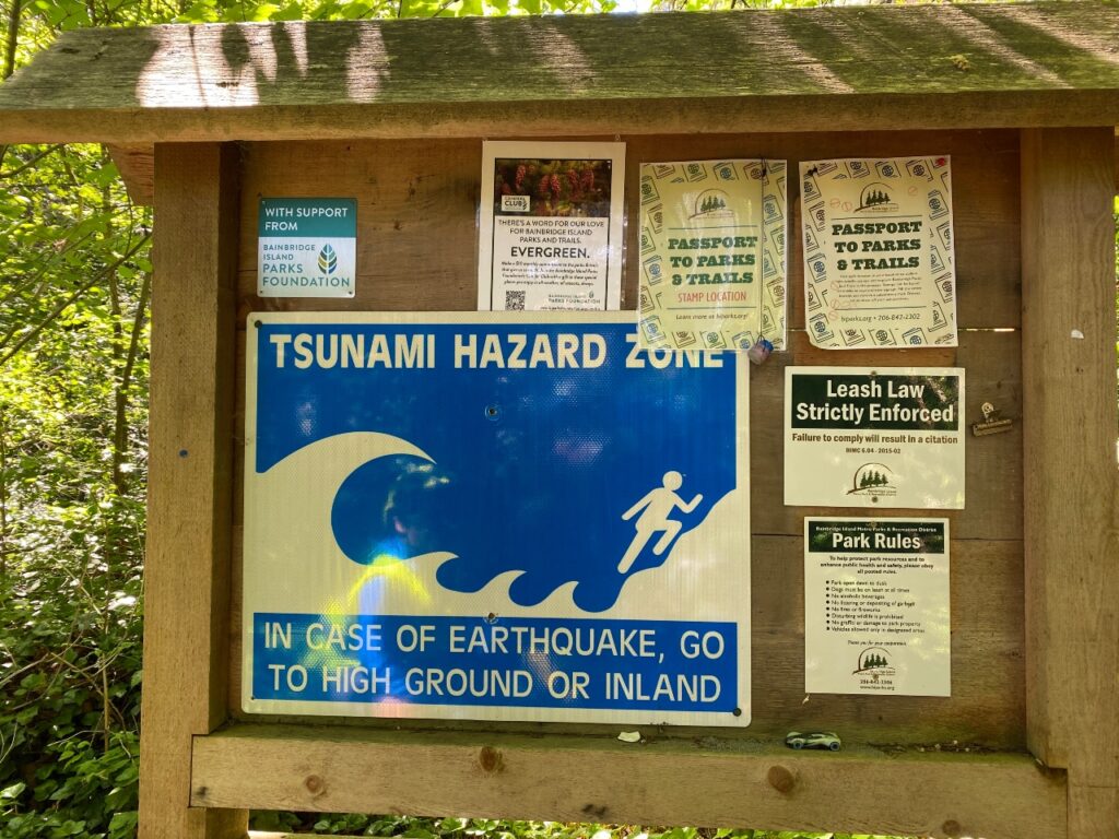 tsunami-evacuation-2 - junglecity.com