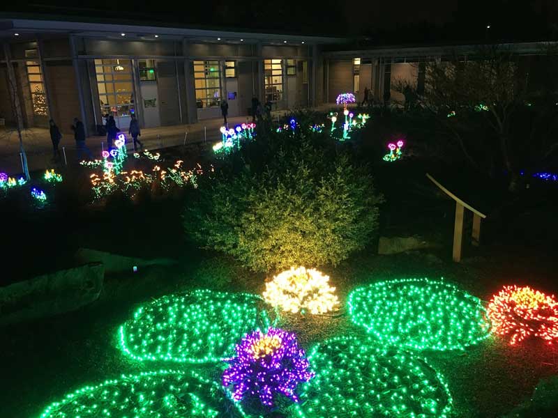 bellevue-botanical-garden-2