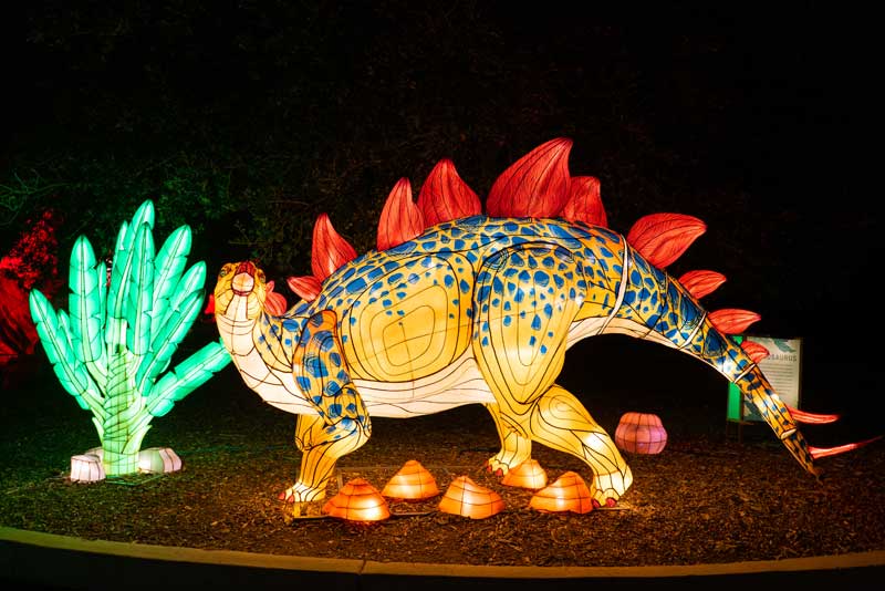 wildlanterns-2021-3