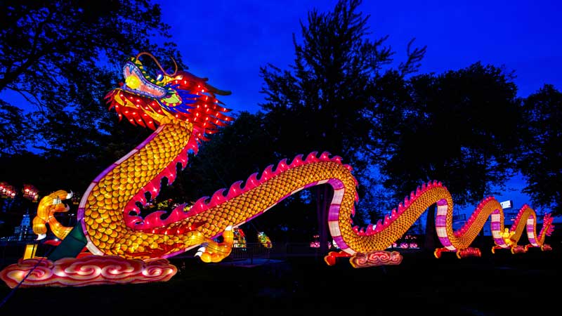 wildlanterns-2021-4