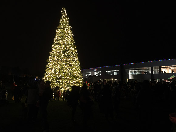 google-lights-1