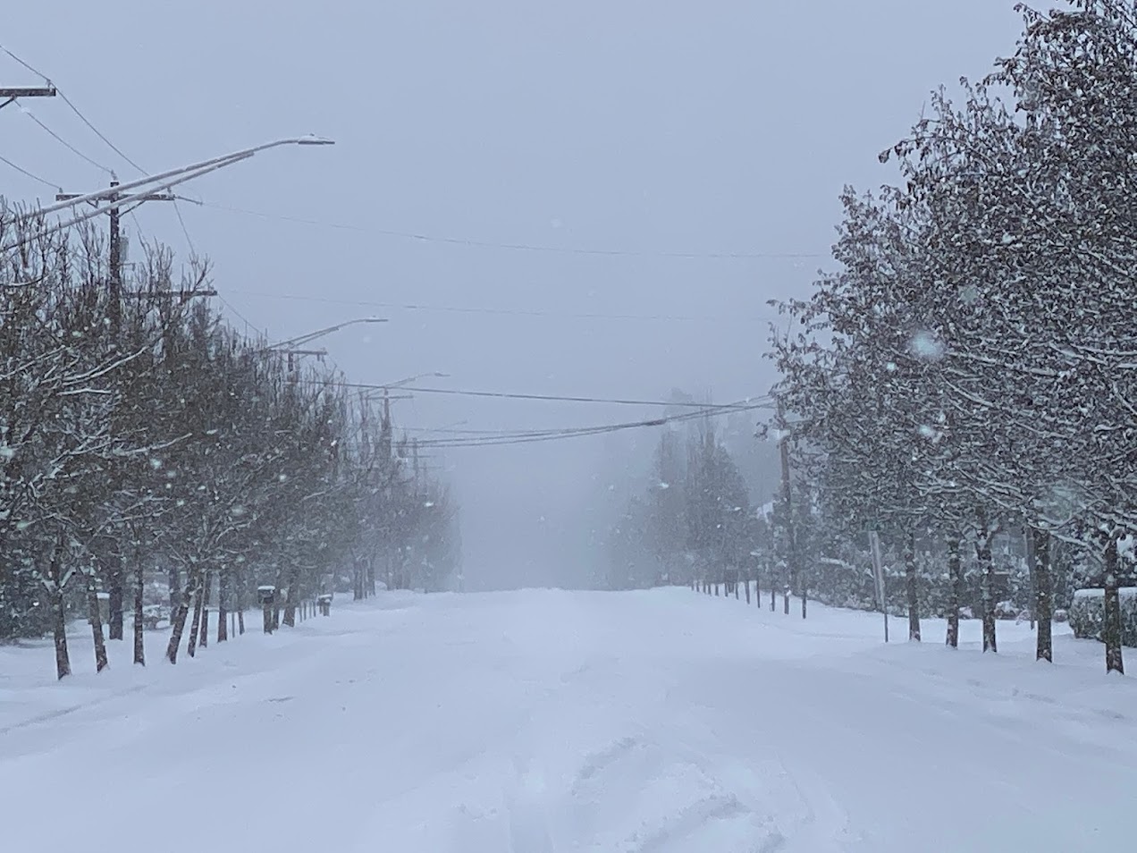 ワシントン州西部の広い範囲で雪 今週は厳しい寒さが続く見込み