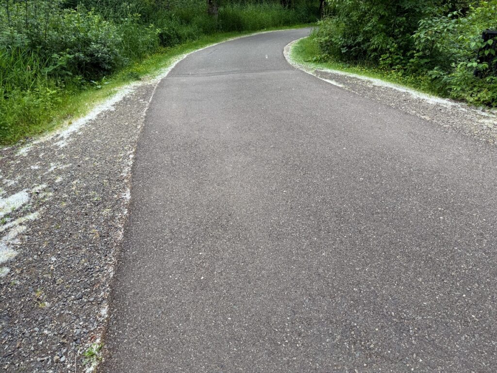 Winding asphalt path through a green, wooded area with gravel shoulders on both sides.