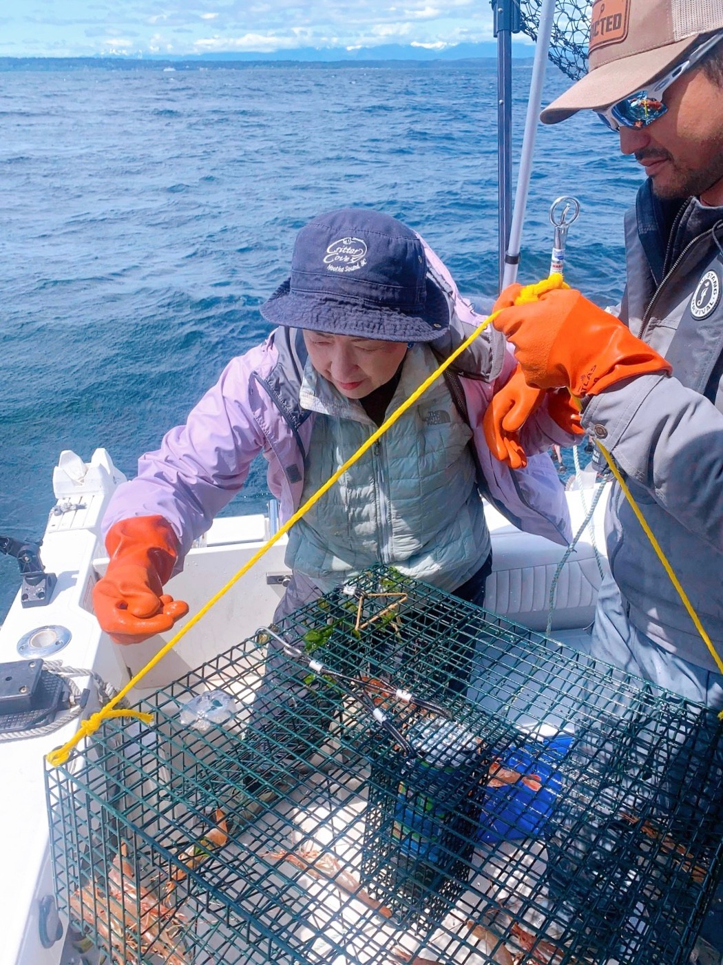 今日の写真は Izumi さんがご提供くださった、シアトルのボタン海老（spot prawn）漁。