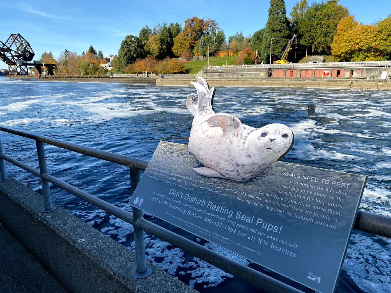 ballard-locks-15