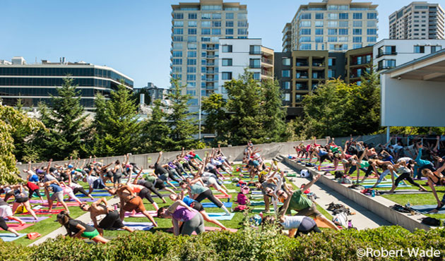 osp-summer-yoga-630
