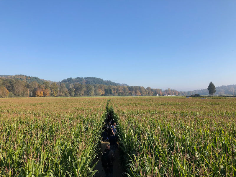 bobs-corn-1