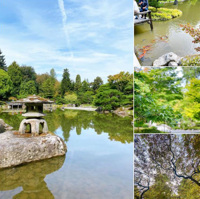 シアトル日本庭園