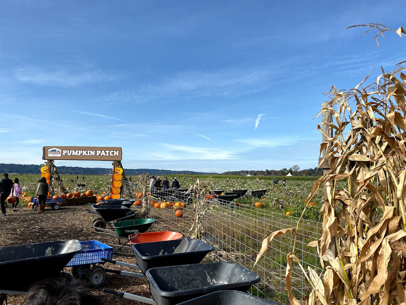stocker-farm-2