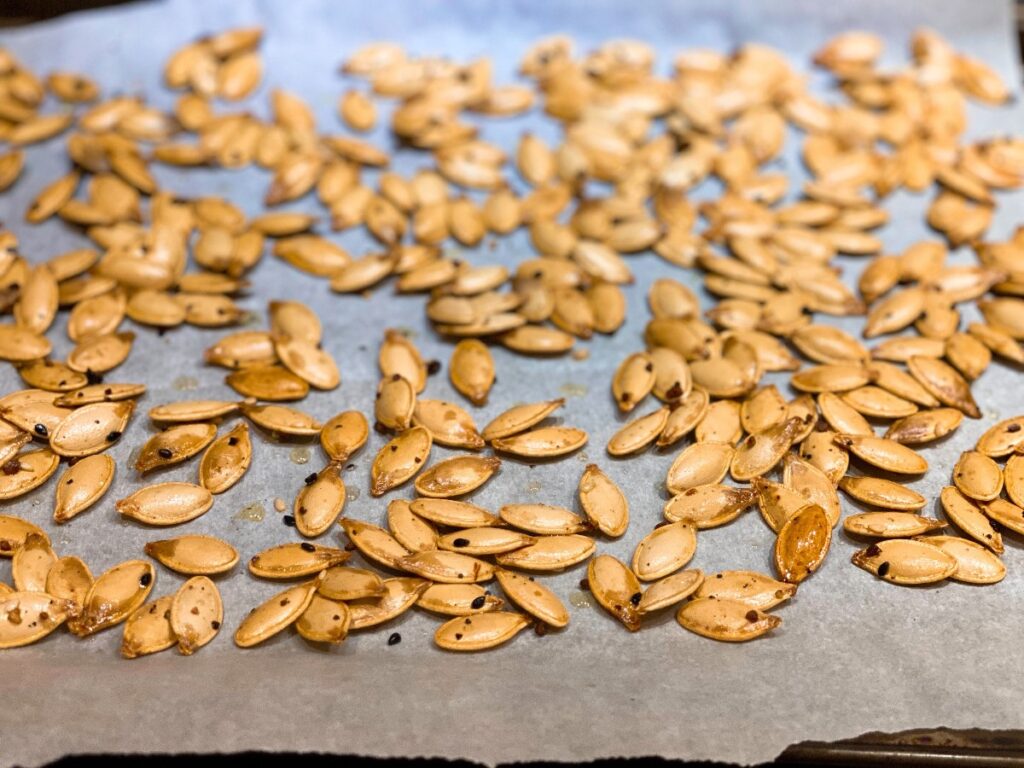 pumpkin-seed-5 - junglecity.com