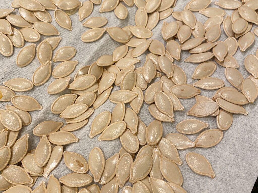 Raw pumpkin seeds spread on parchment paper, pale beige and oval-shaped ready for roasting