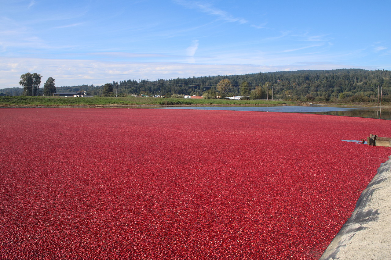 vancouver-bc-21